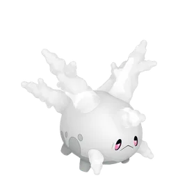 サニーゴ