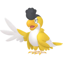 イキリンコ