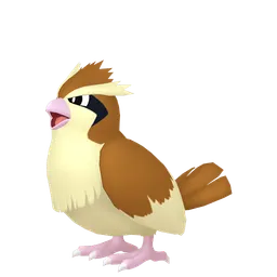 ポッポ