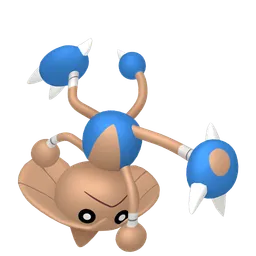 カポエラー