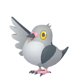 マメパト