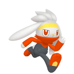 ラビフット